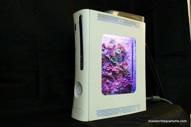 Trasformare la vostra Xbox in un acquario? Certo che si può!