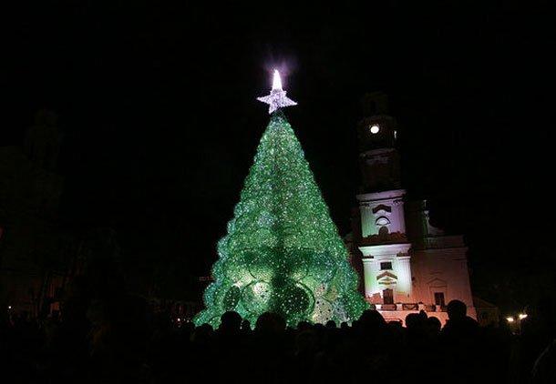 Quest'anno l'albero di Natale si tinge di green!