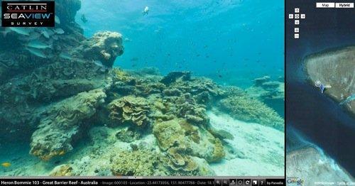 Google Maps si tuffa nella Grande barriera corallina