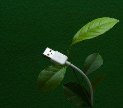 Weevo, il generatore di qr code green