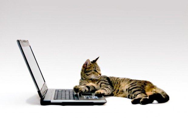 5 social network dedicati a chi ama gli animali