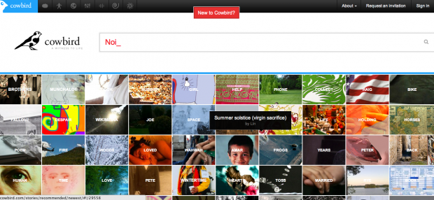 Cowbird, un luogo per storyteller digitali