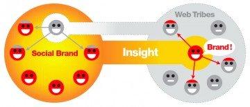 social brand insight