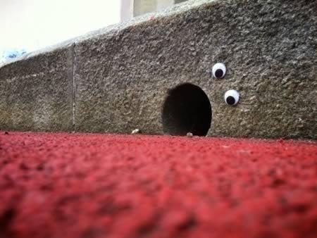 Eyebombing, la street art strizza l'occhio alla città