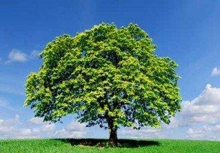 Green startup: 3 fondi europei pronti ad investire nella tua idea