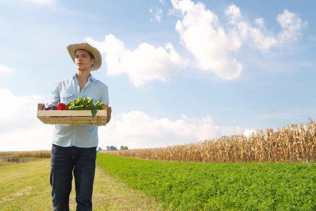 Rural Hub, quando la startup nasce nei campi