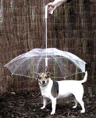 9 ombrelli per essere creativi anche sotto la pioggia