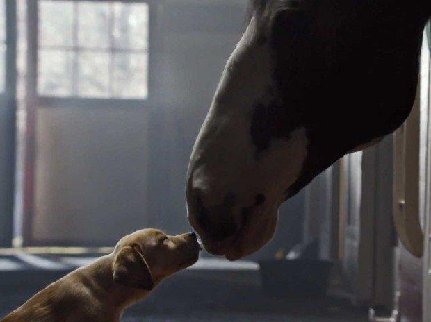 Super Bowl: Puppy Love, SodaStream e altri spot