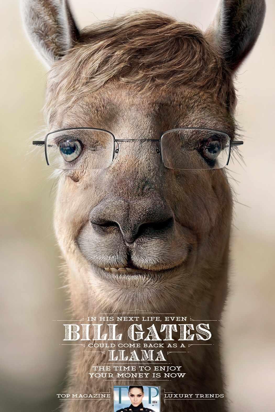 bill gates llama