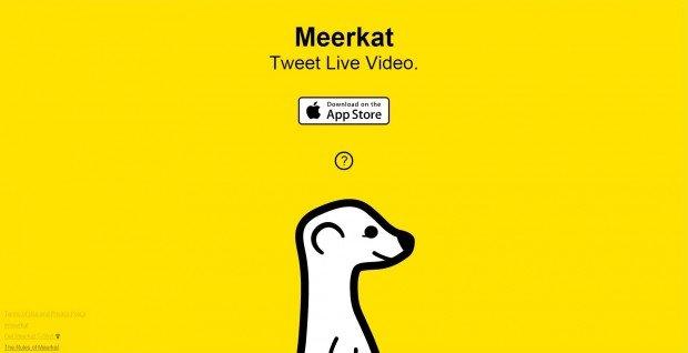 Meerkat, la live streaming app che spaventa Twitter