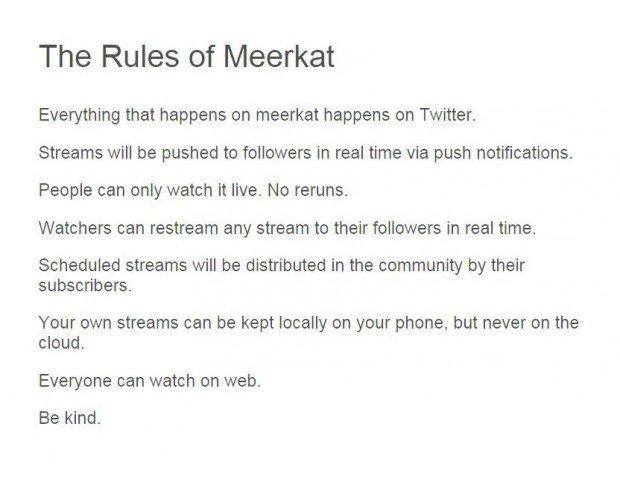 Meerkat, la live streaming app che spaventa Twitter