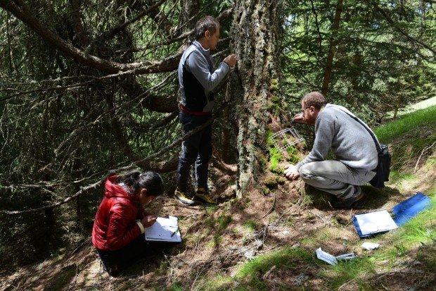 CSMON_LIFE_TUTELA_L’AMBIENTE_E_LA_BIODIVERSITà!CHE_ASPETTI?_01