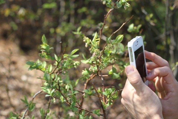 Csmon Life, l'app che tutela l'ambiente e la biodiversità