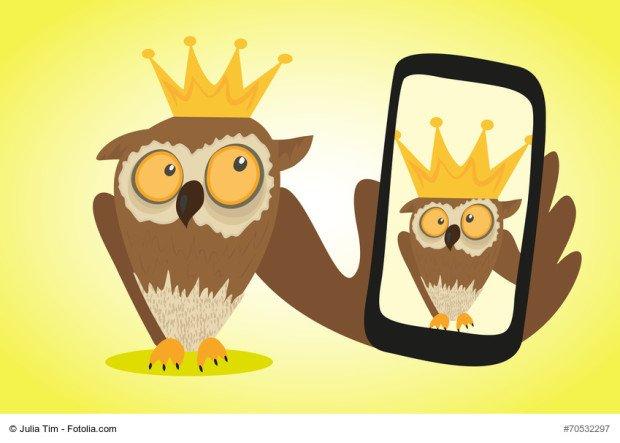 Crazy owl is doing selfie for social networks 