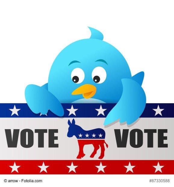 Blue Bird Vote for Democrat sign on white background