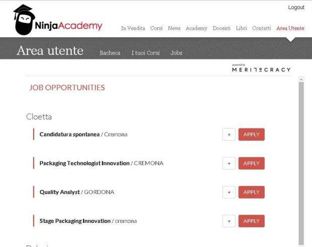 Meritocracy e Ninja Academy