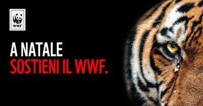 Adotta una specie in pericolo, la campagna social virale del WWF