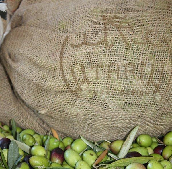 Agricoltura e moda nelle borse Made in Sicily Tarì rural design