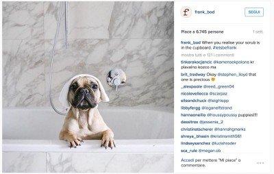 Fidelizzare i follower su Instagram: tre storie di successo