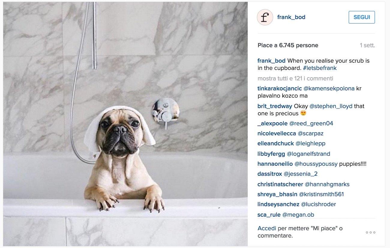 instagram-casi-successo