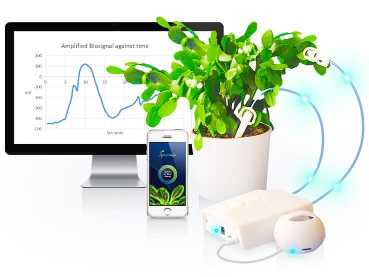 Phytl-Signs-wearable-da-voce-alle-piante