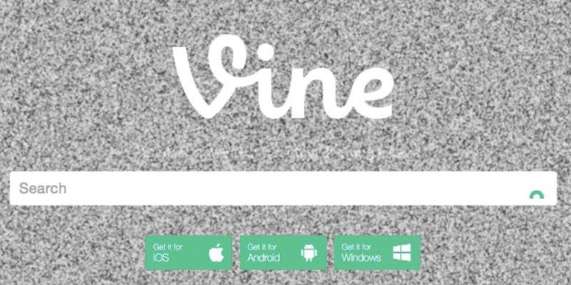 Vine