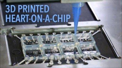 Il cuore in un chip: Harvard stampa in 3D organi con sensori integrati