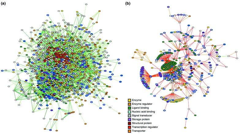 network_figure_mcdermott