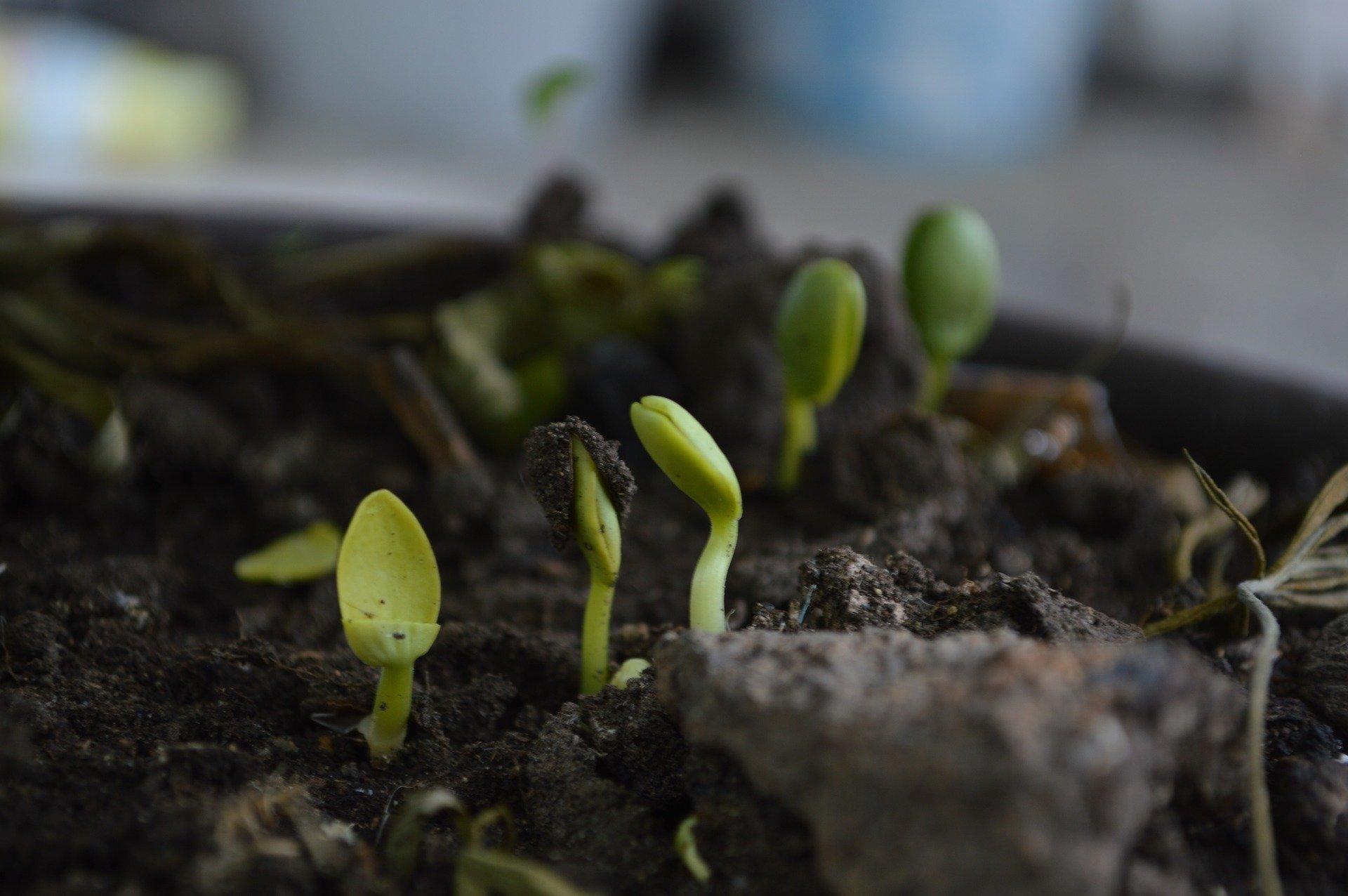 agricoltori 2.0 e social network