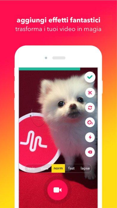 musically-app-4