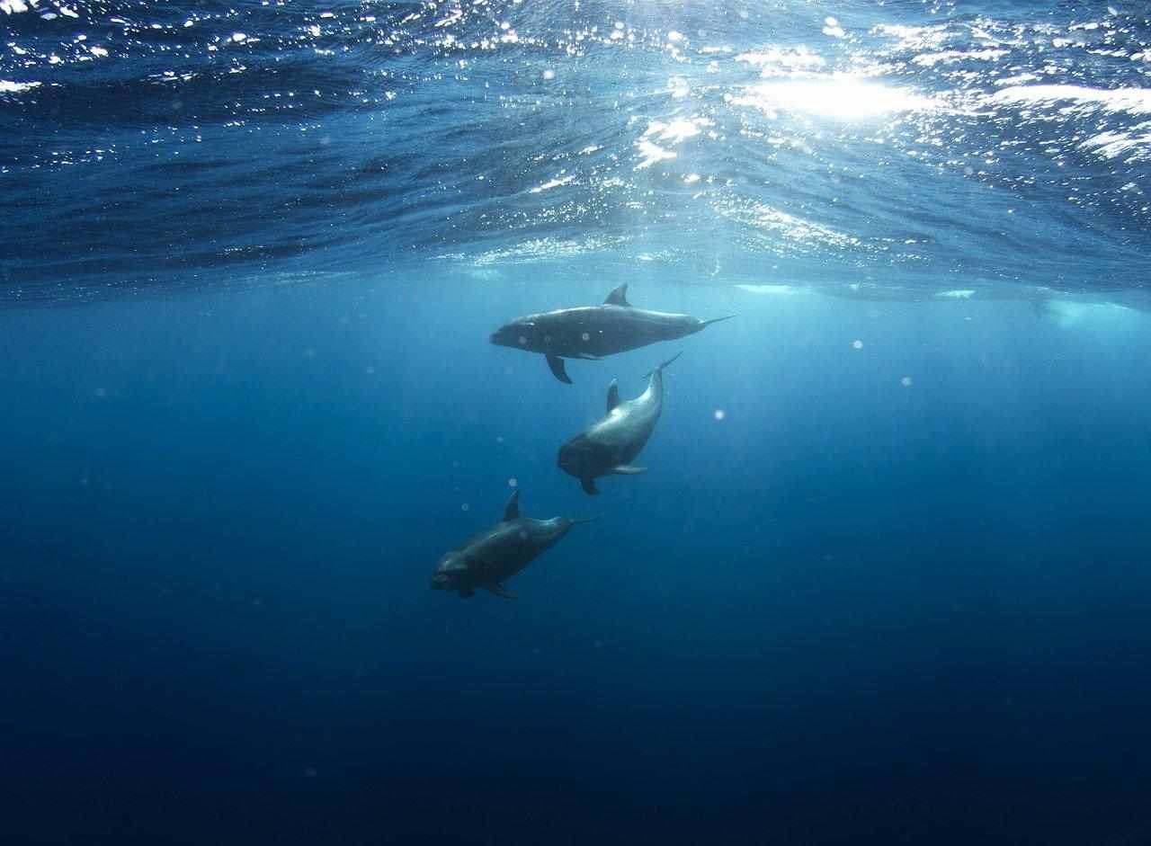 Blue Underwater