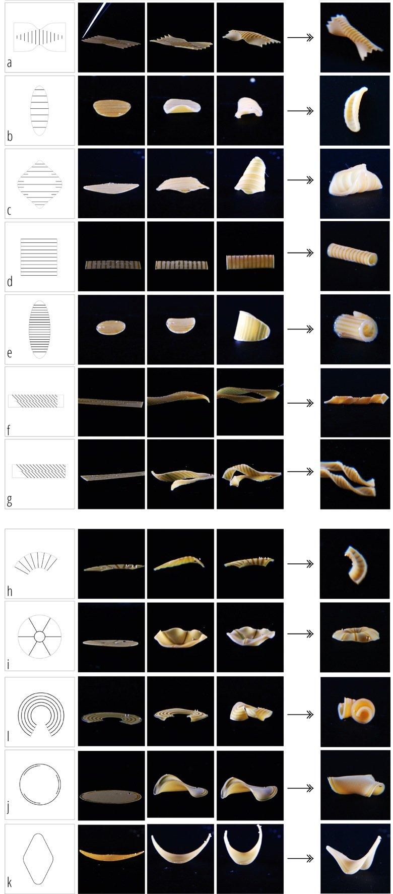 Tranformative Appetite, la pasta del MIT che cambia forma in pentola