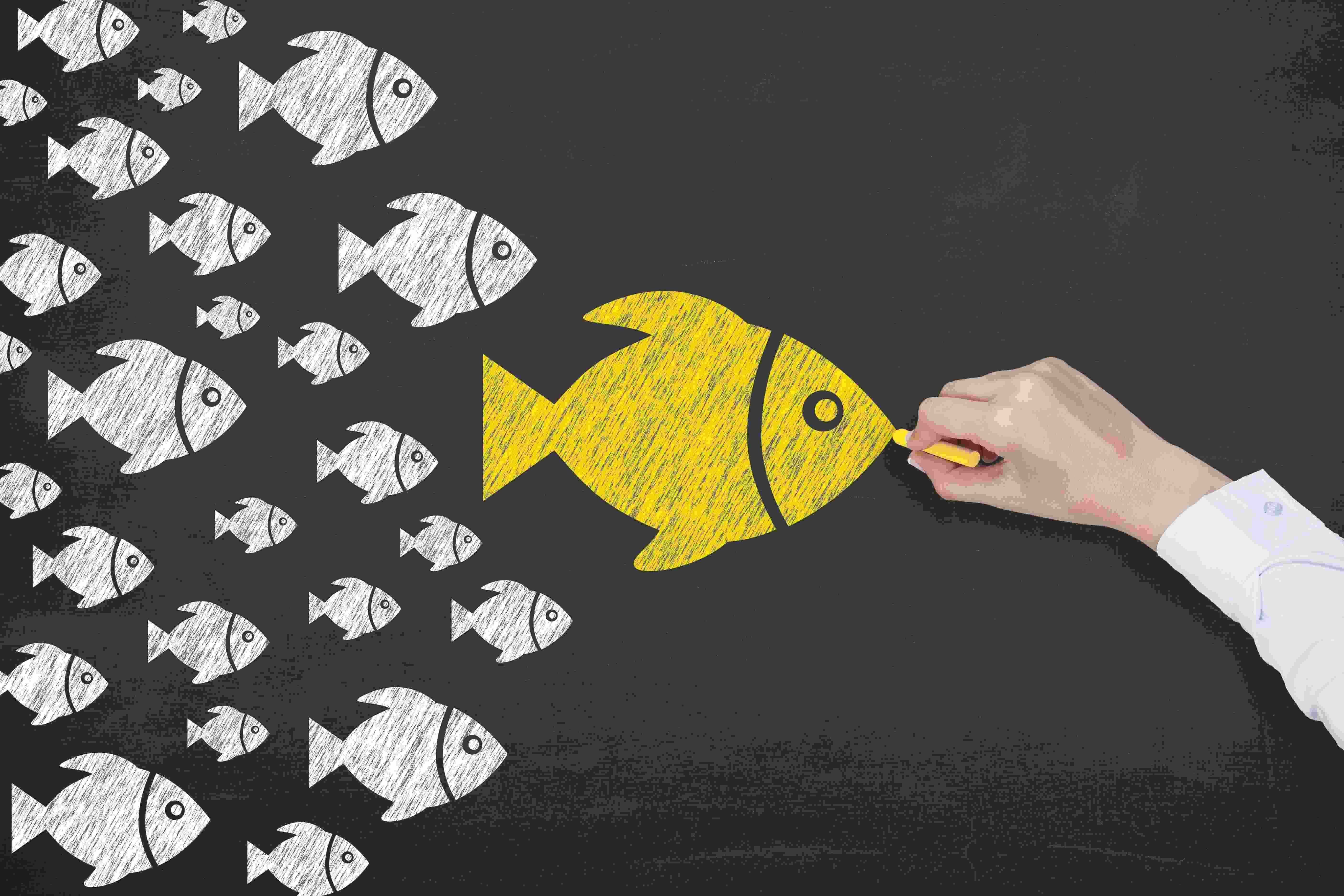influencer organici