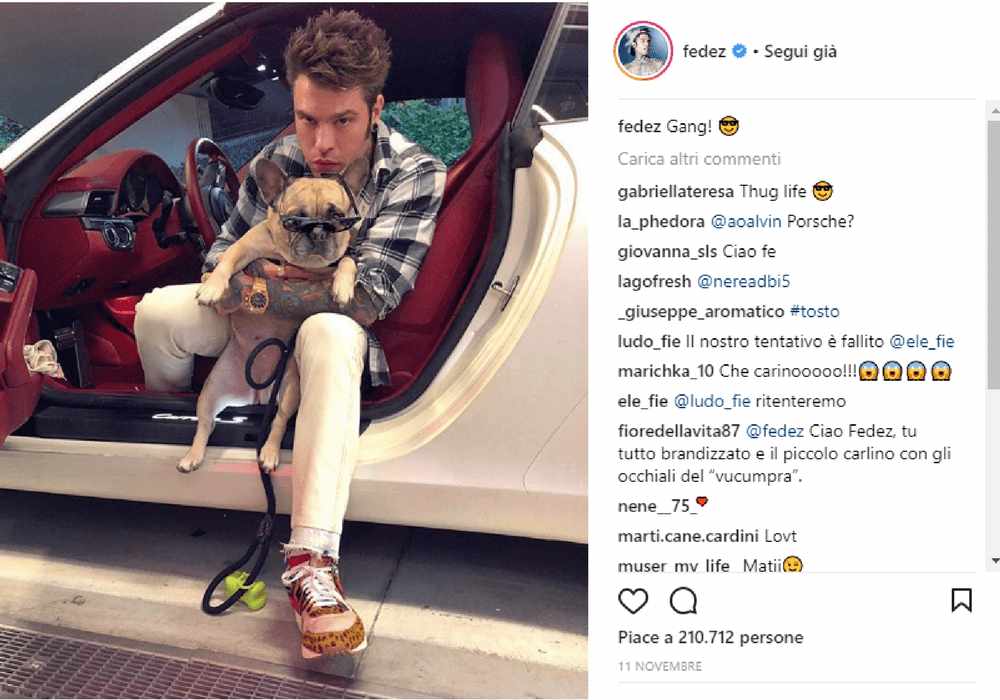 animali sui social