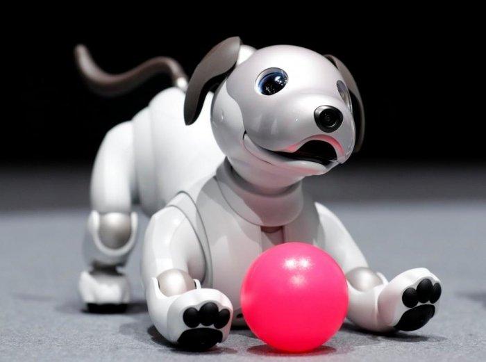 sony new aibo