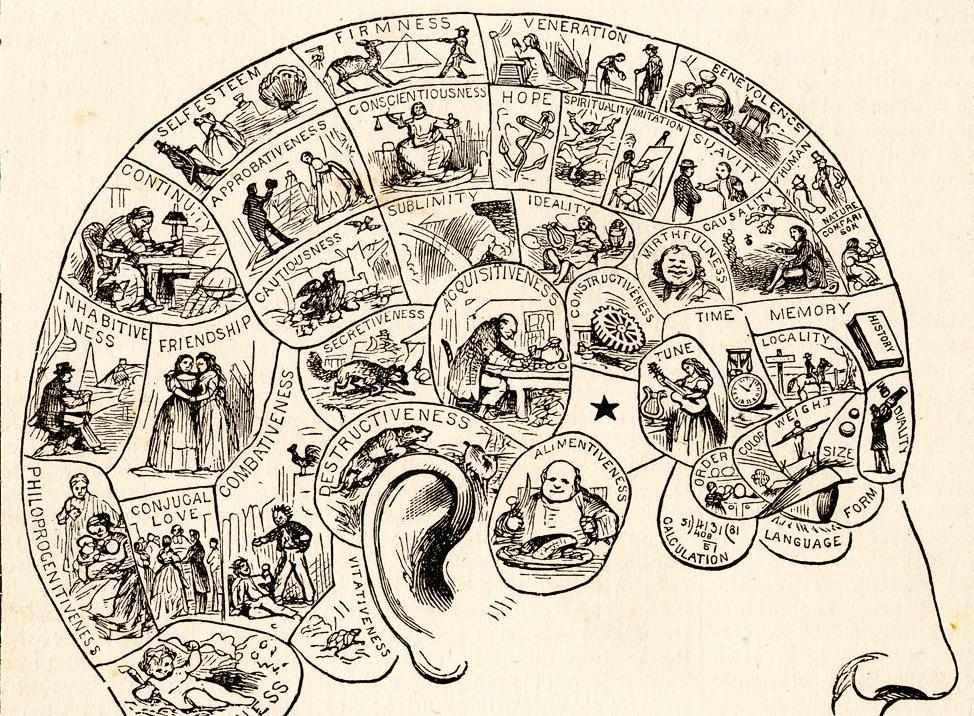 disegno del cervello suddiviso in fattori che caratterizzano l'essere umano 