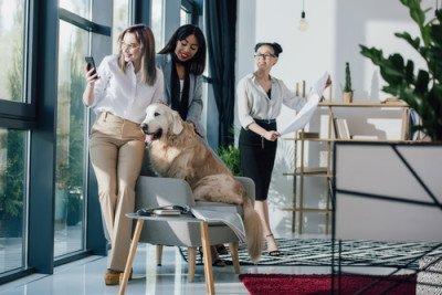 Il cane in ufficio aumenta la produttività: ecco le policy più pet-friendly delle aziende