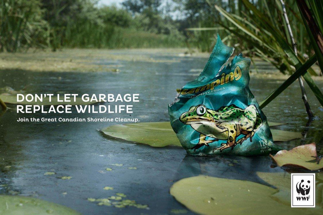 wwf_posters_horizontal_24x16_final2