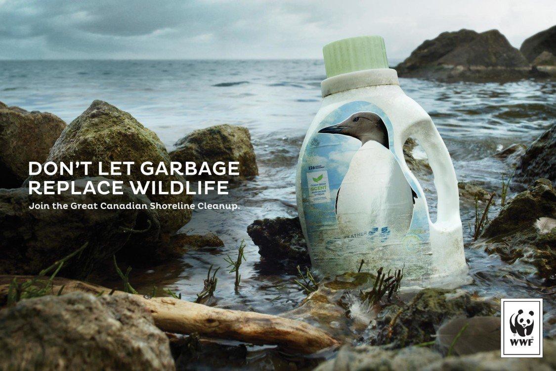wwf_posters_horizontal_24x16_final3