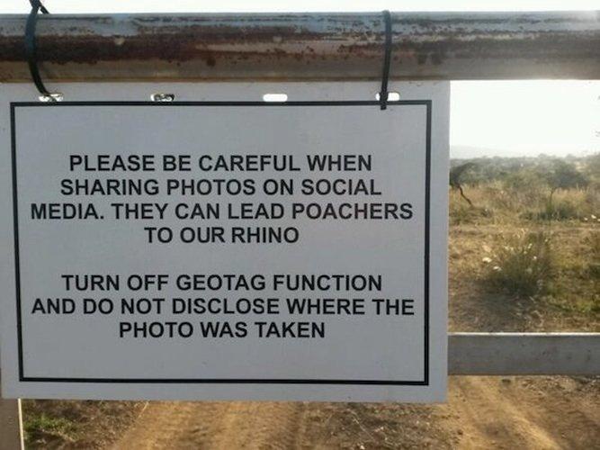 commercio-illegale-estinzione