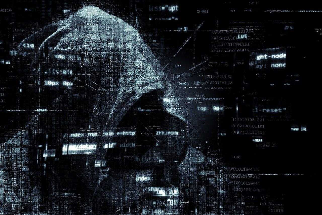 ninja