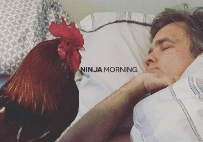 Ninja Morning, il buongiorno di giovedì 29 marzo 2018