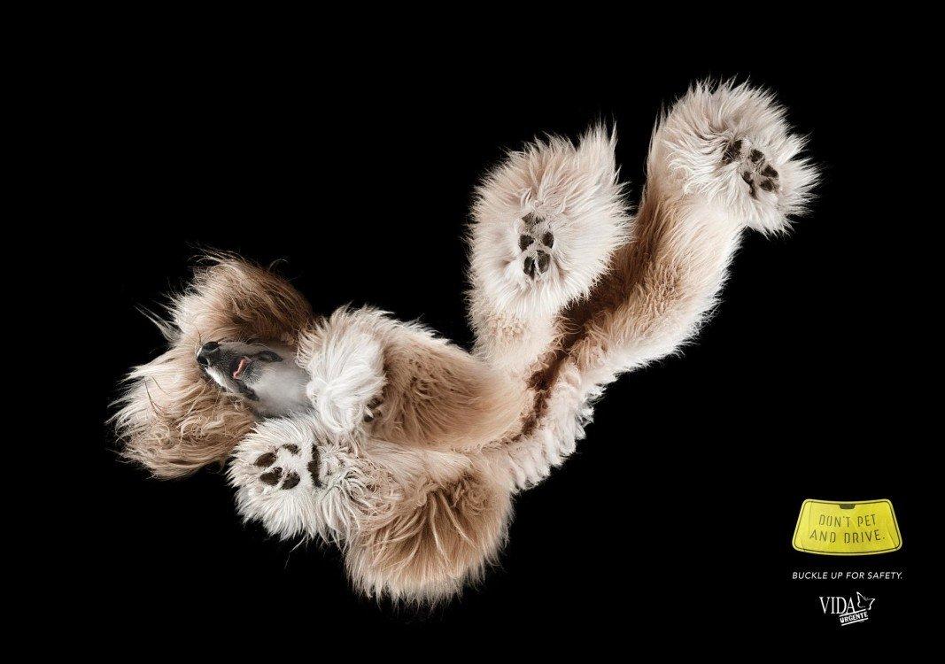 atwpets_morya_omnicom_01