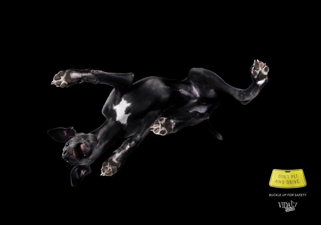 atwpets_morya_omnicom_02