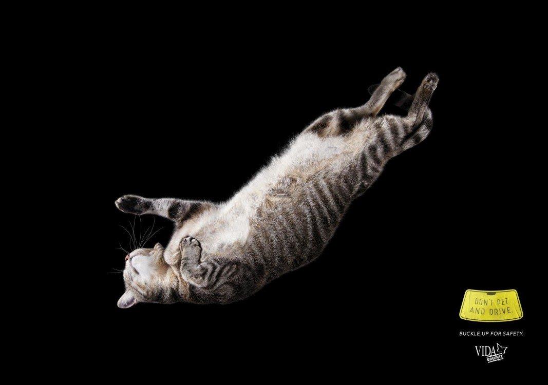 atwpets_morya_omnicom_04