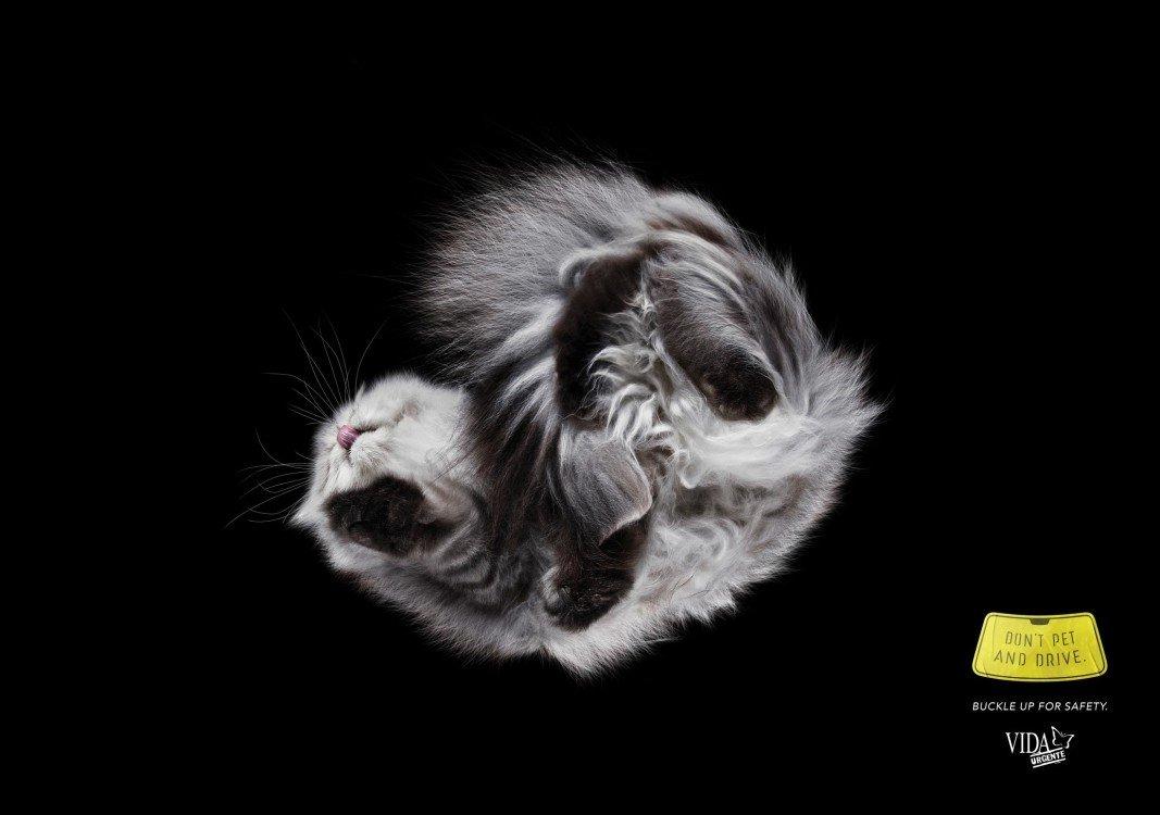 atwpets_morya_omnicom_05