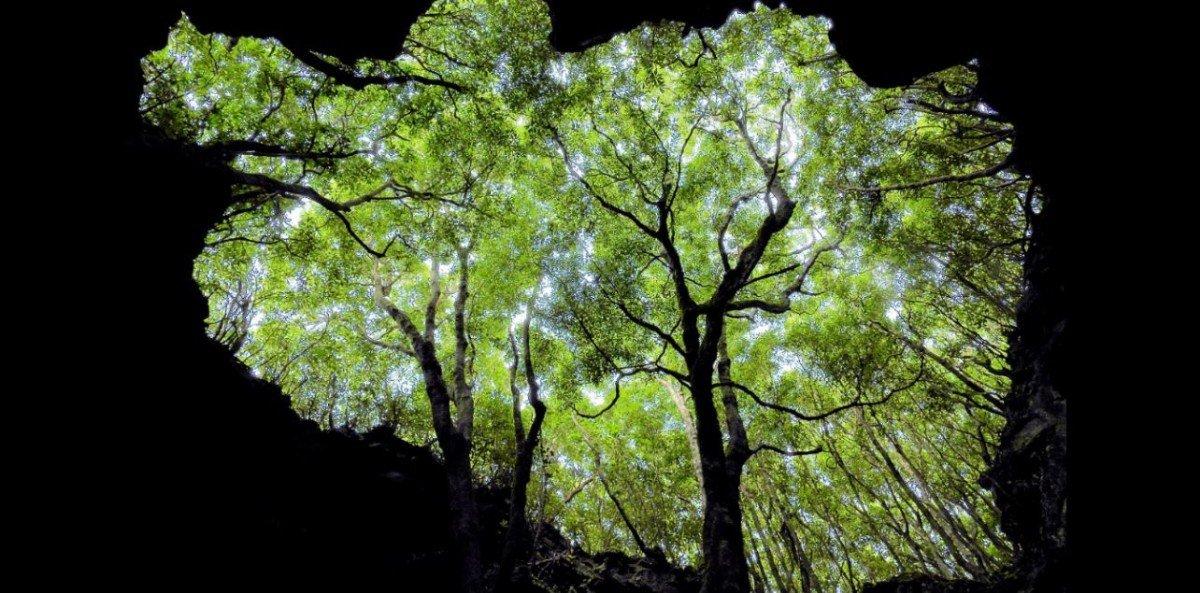 concorso_instagram_1