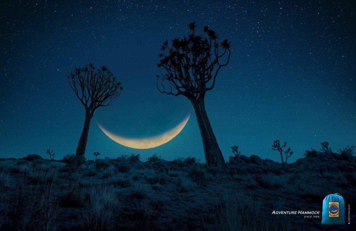 savannah_moon