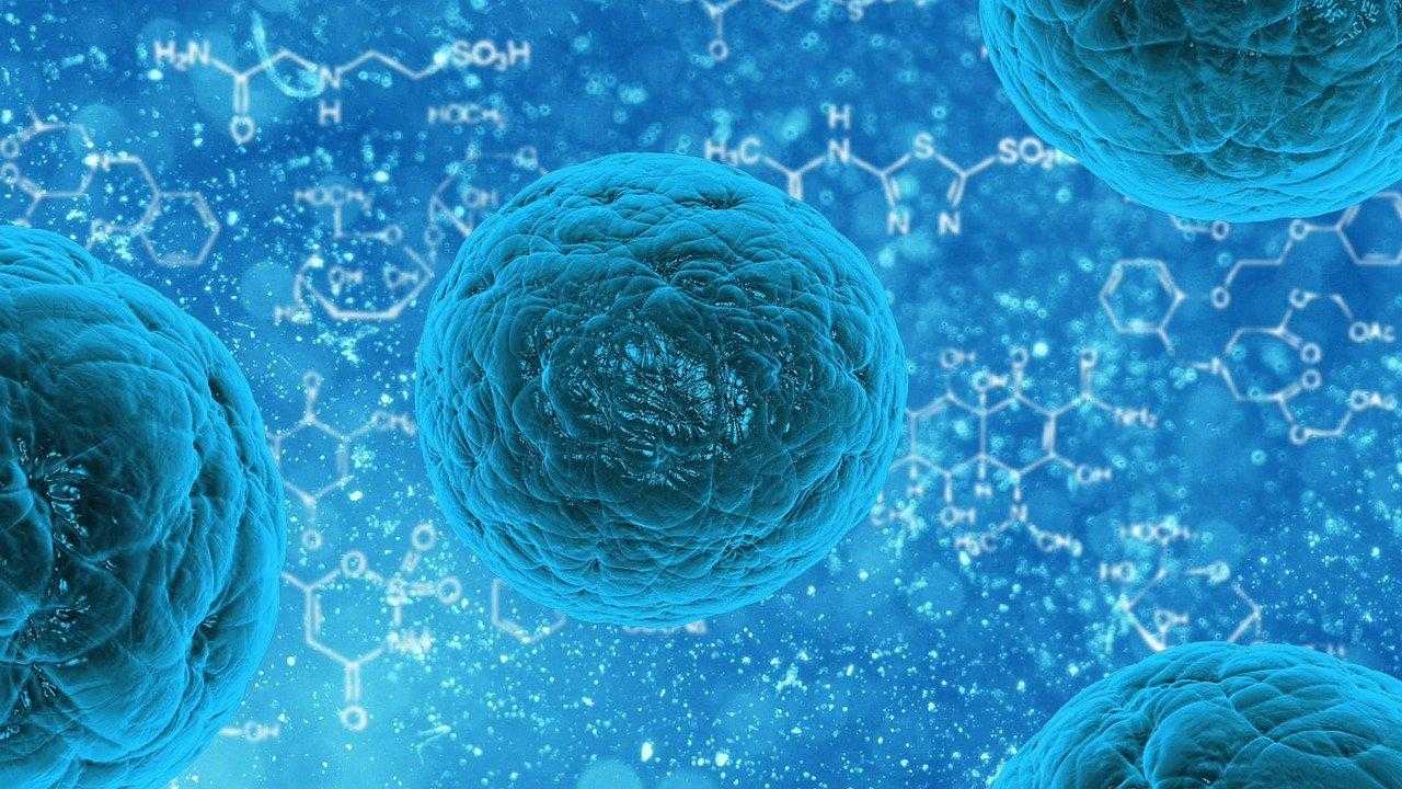 ricerca scientifica