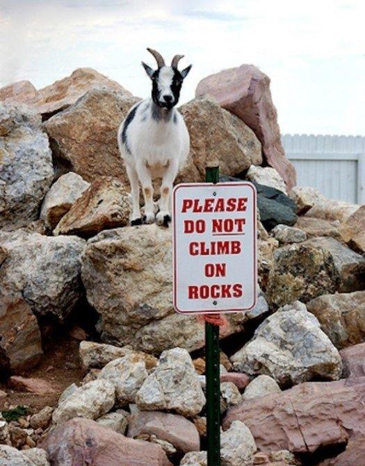 copywriter breaking rules